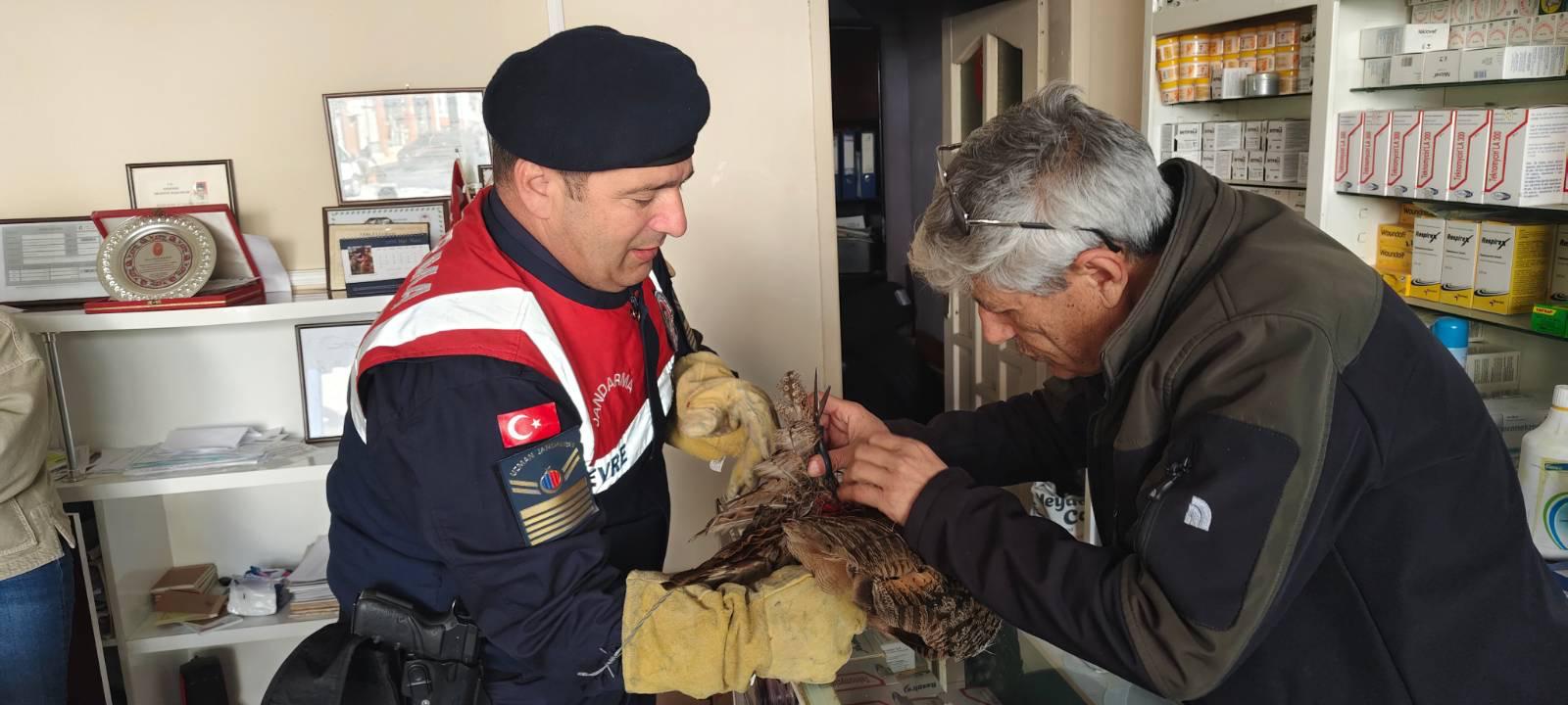 Puhu Tedavi Altına Alındı (1)