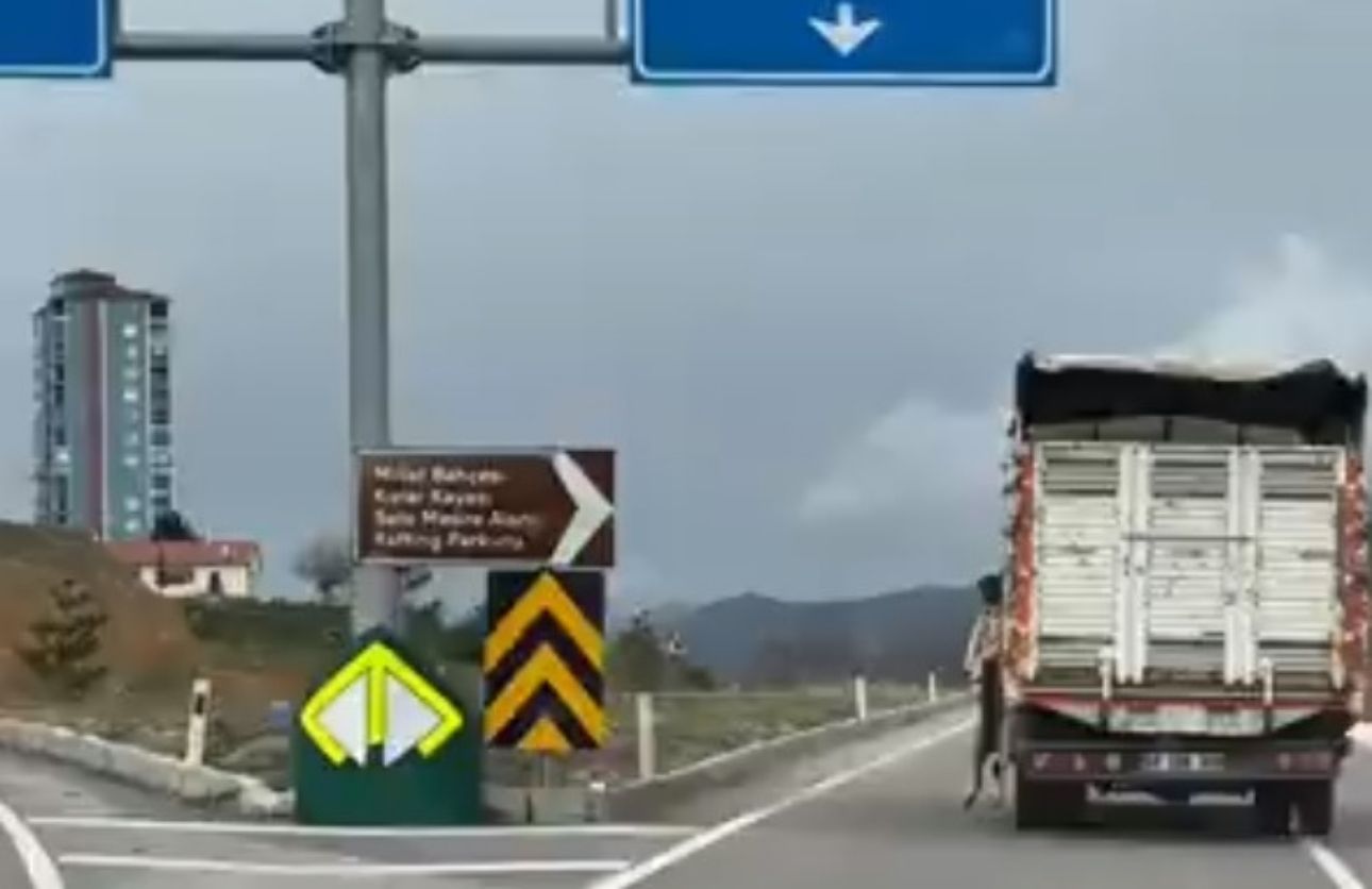 Kamyon Köpek Yozgat