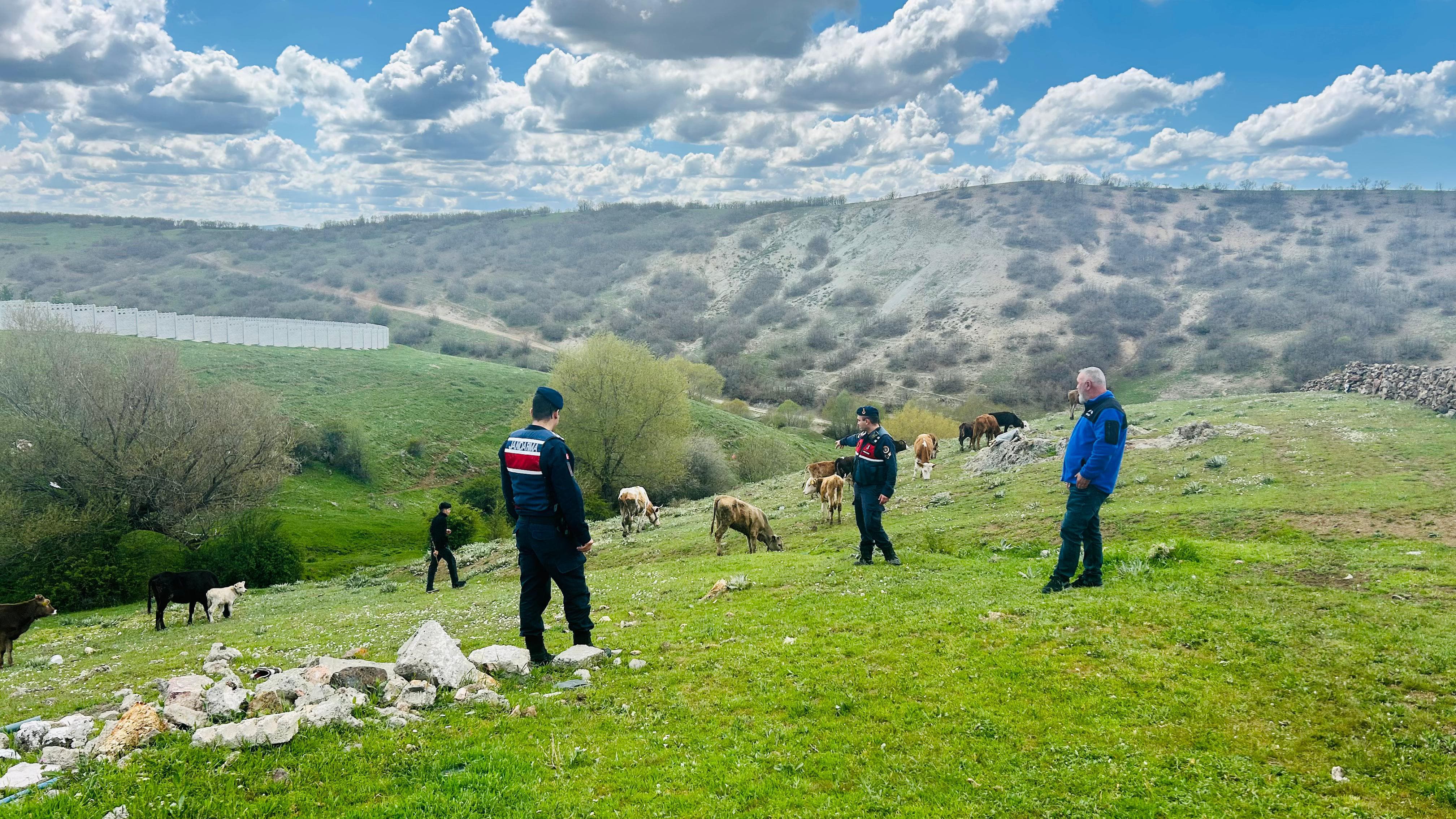 Kaybolan Hayvanları Jandarma Buldu2