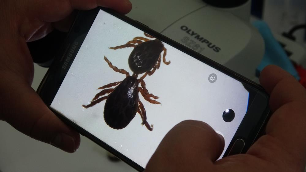 Kendisi Kadar Yanlış Uygulamalar Da Öldürüyor3