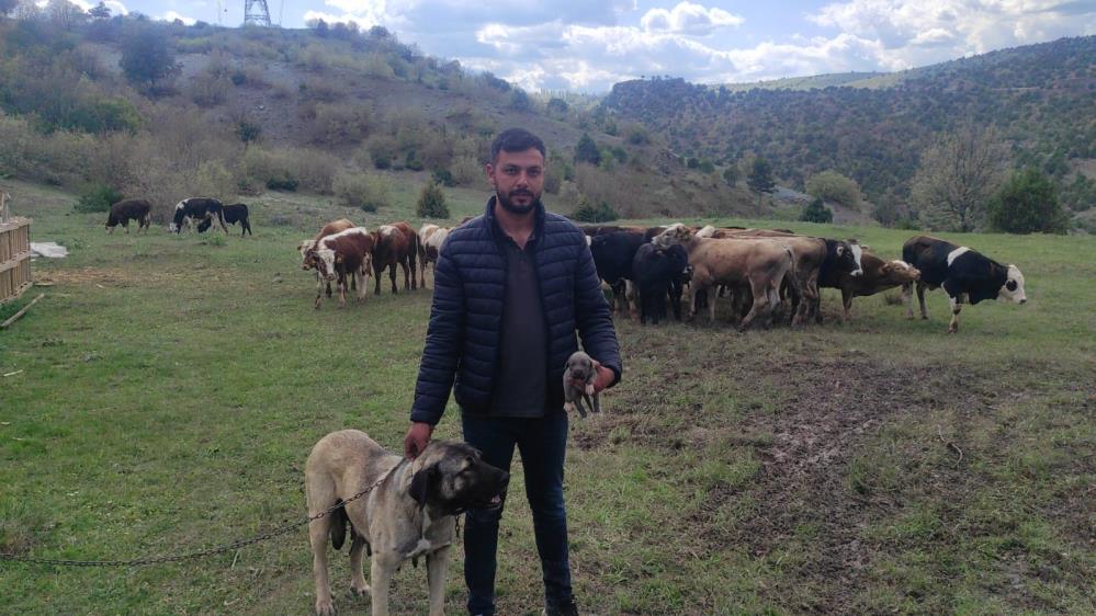 Keşke Bizi Uyarsalardı1