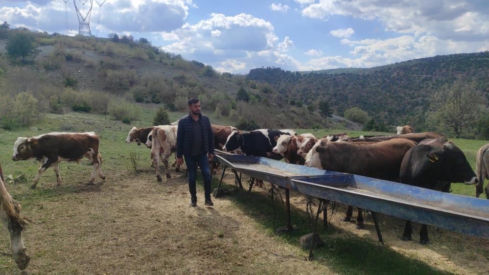 Keşke Bizi Uyarsalardı4