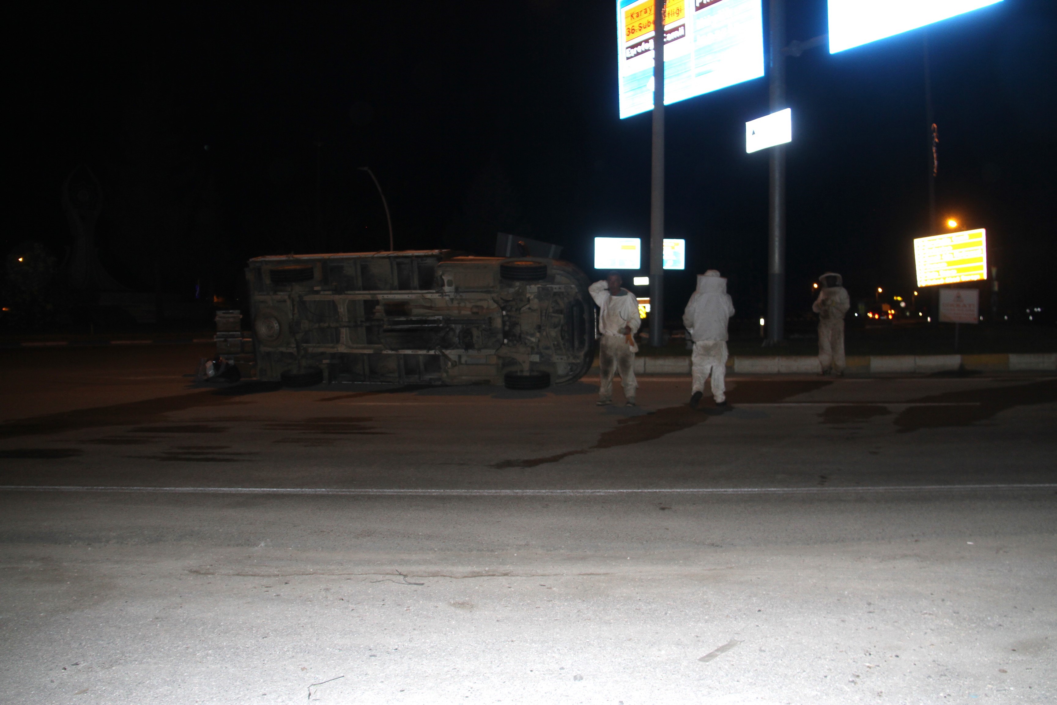 Arı Kovanı Yüklü Tır (3)