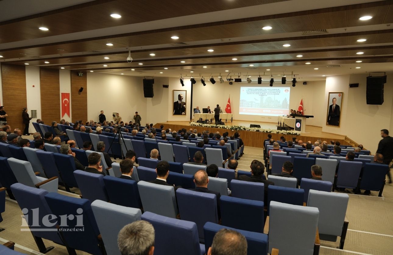 Yozgat Sokak Hayvanları (2)
