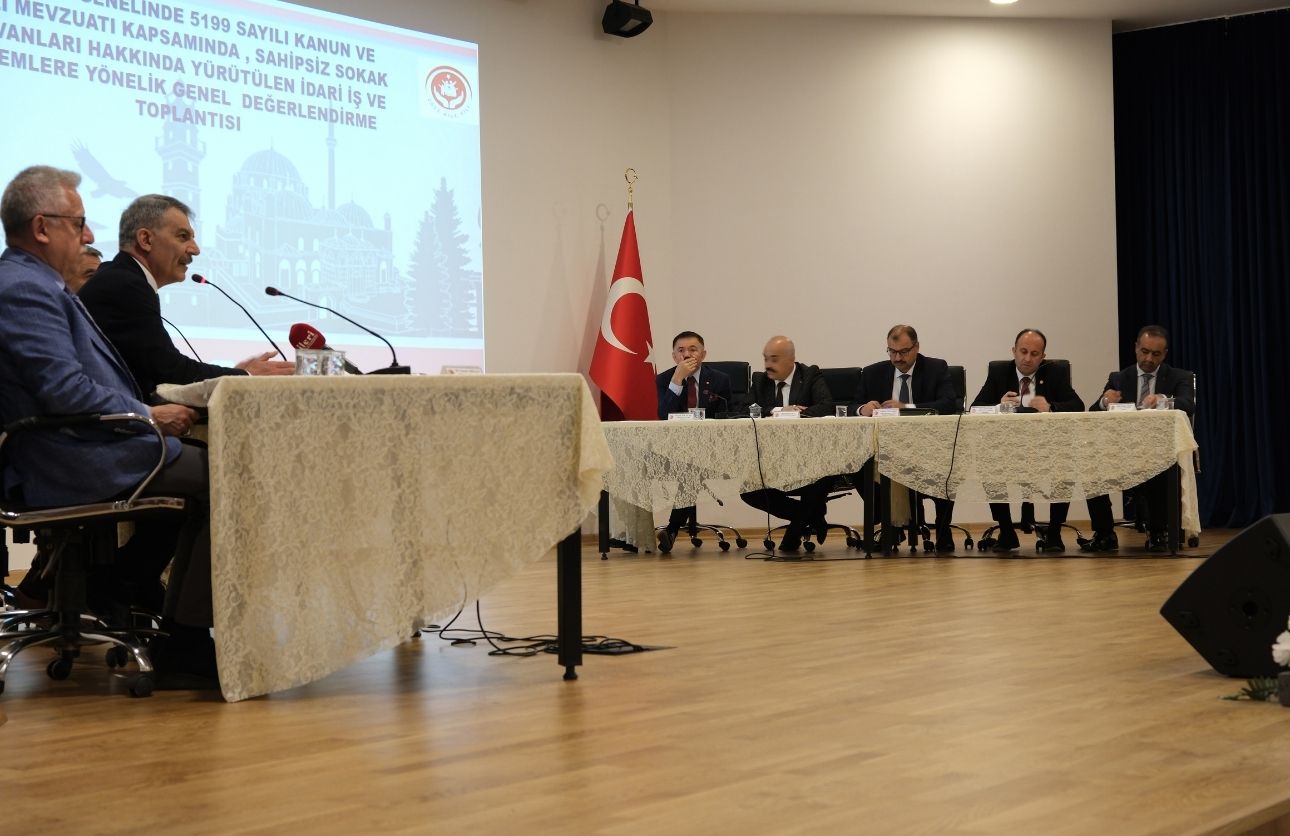 Yozgat Sokak Hayvanları (5)