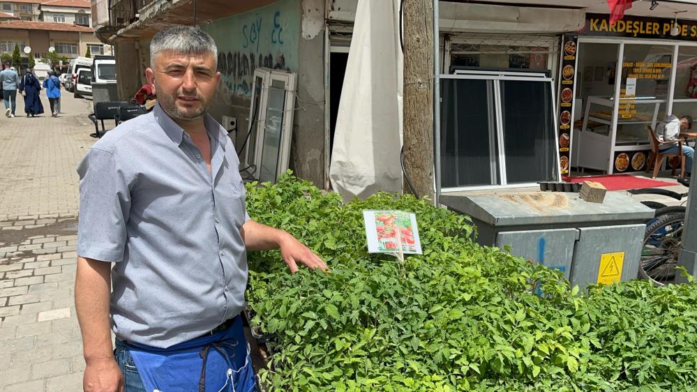 Sebze Fidesi Telaşı Başladı
