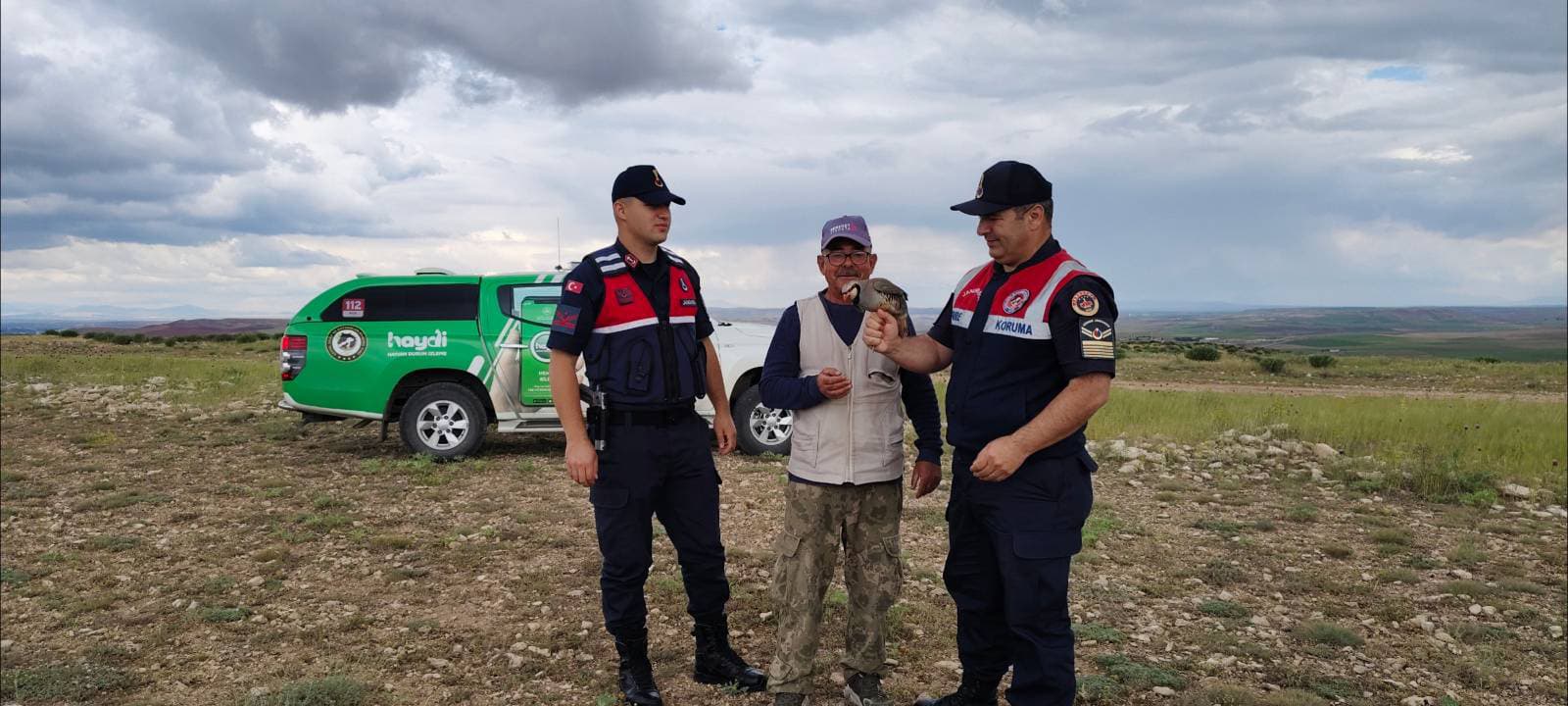 Kınalı Keklik Koruma Altına Alındı