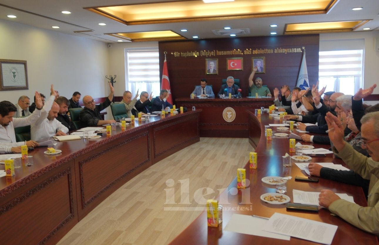 Belediye (1)