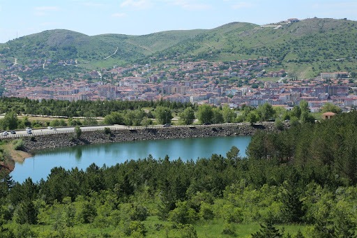 Çamlık 2