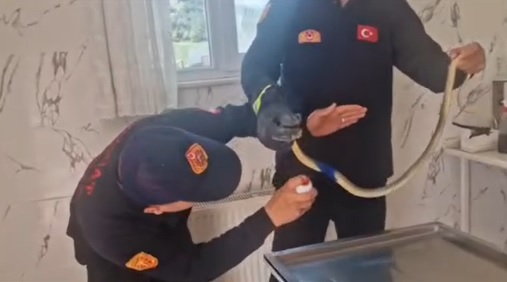 Yılan-1