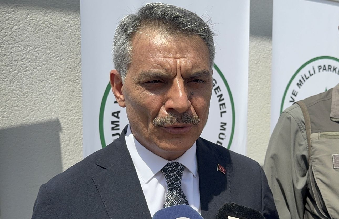 Kınalı Keklik (3)