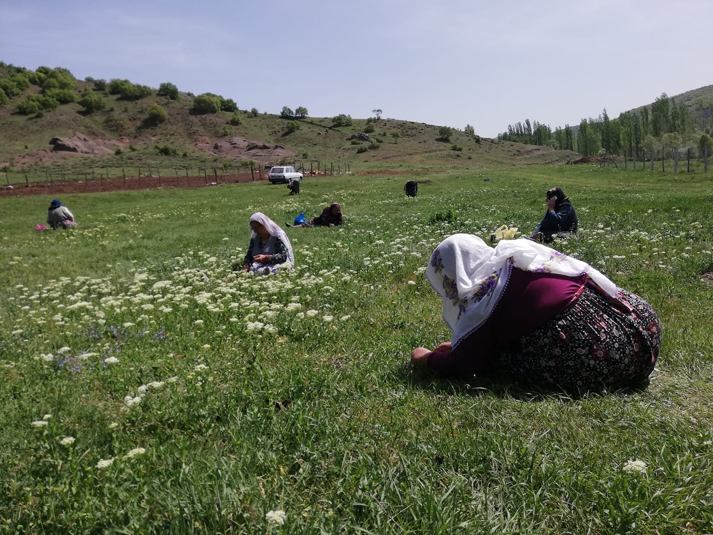 Derbent Köyünde Yayla Şenliği (5)