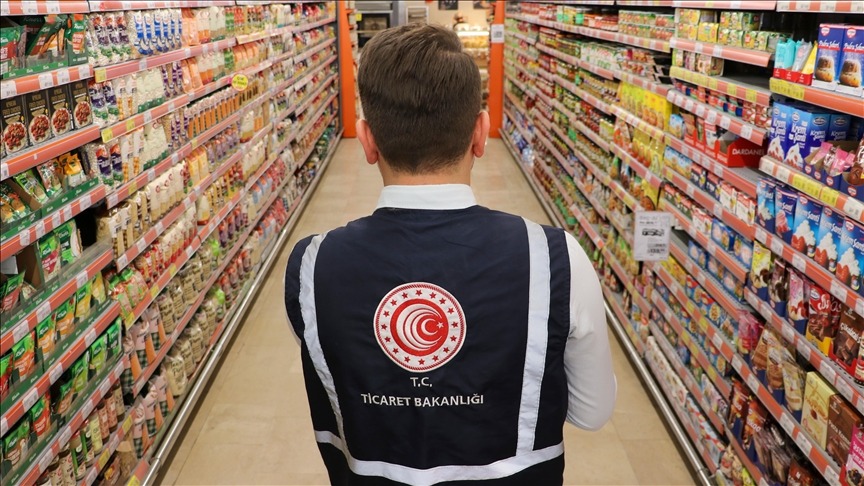 Bakanlık Denetim