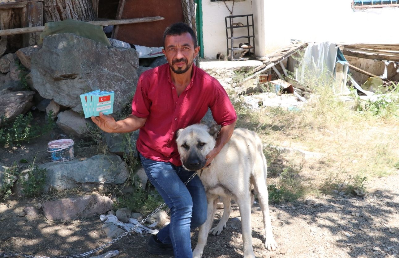 Çiplenen Köpekler (4)