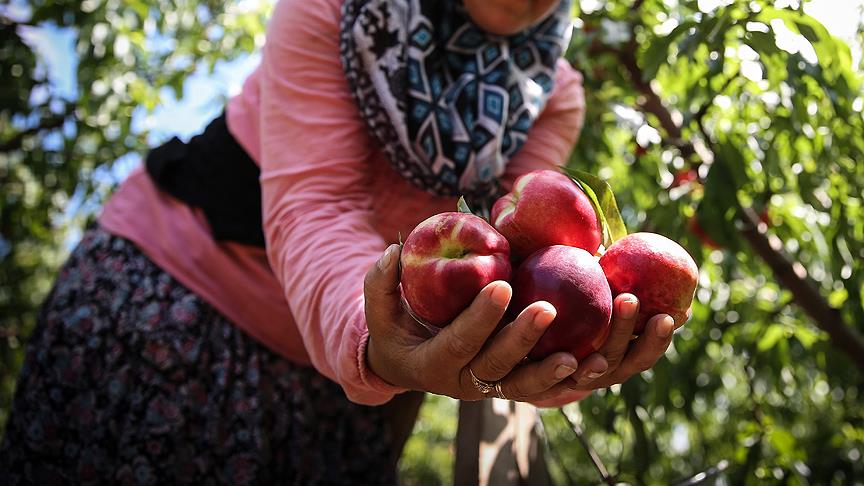 Kalp Sağlığının Sessiz Kahramanı (1)