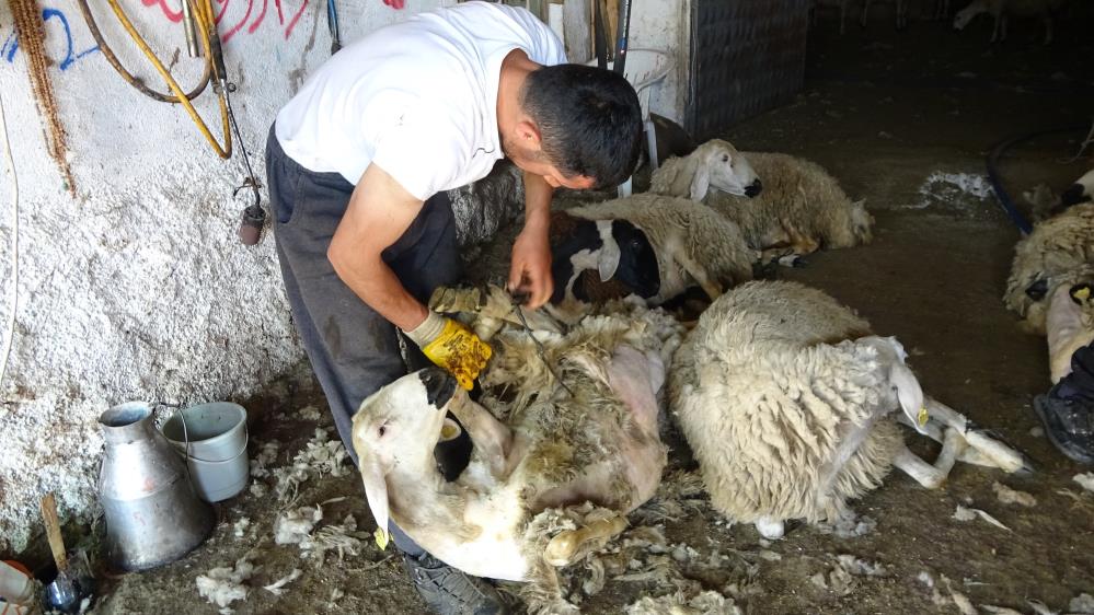 Kırkma Mesaisi Başladı2