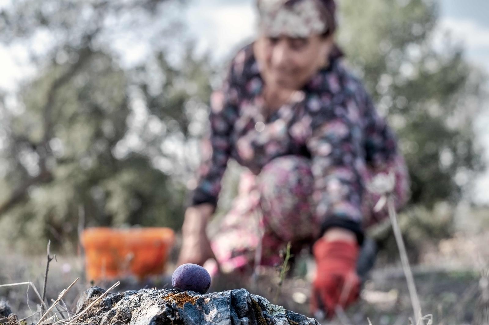 Kuraklığa Ve Açlığa Büyük Adım1
