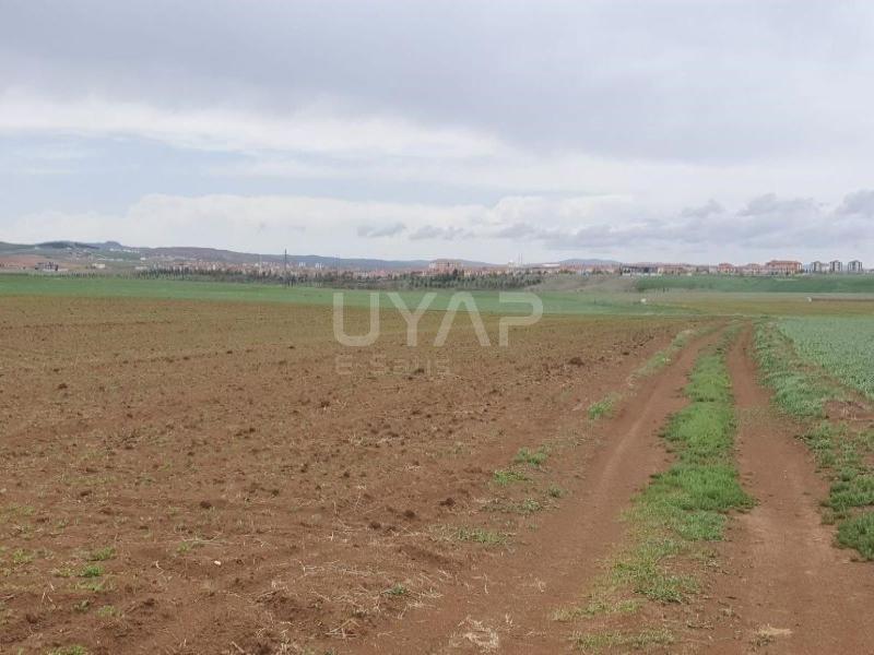 Yozgat Tarla Satılık