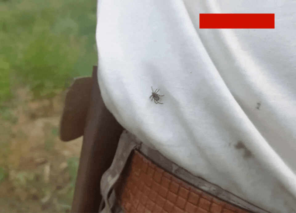 Kabus geri döndü: Yozgat en çok vaka görülen iller arasında!