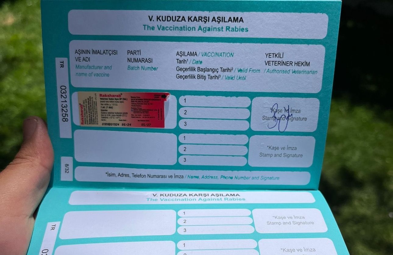 Çip Takıldı (3)