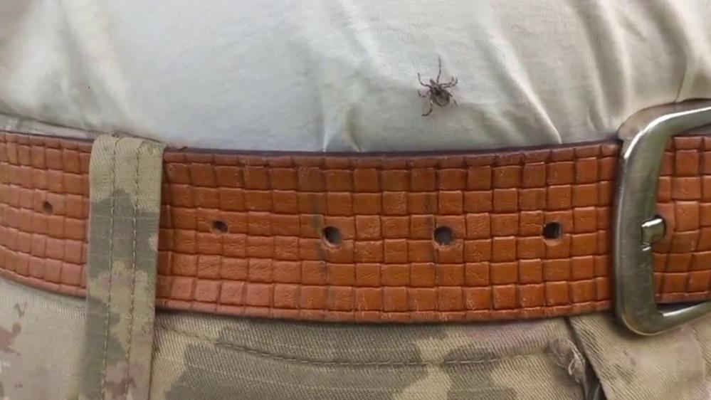 Kene Tedirgin Ediyor1
