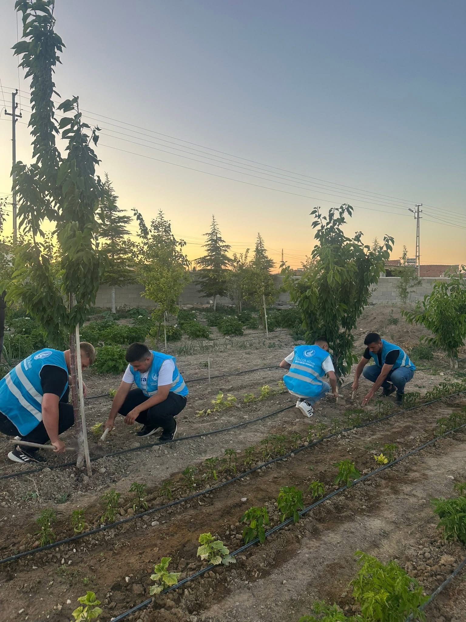 Permakültür Çalışması Yapıldı3