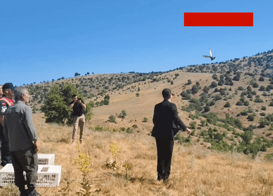 Yozgat'ta 225 keklik doğaya salındı