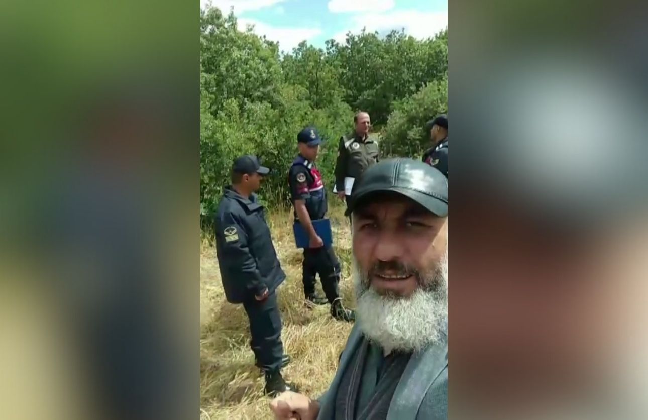 Orman Yangını (1)