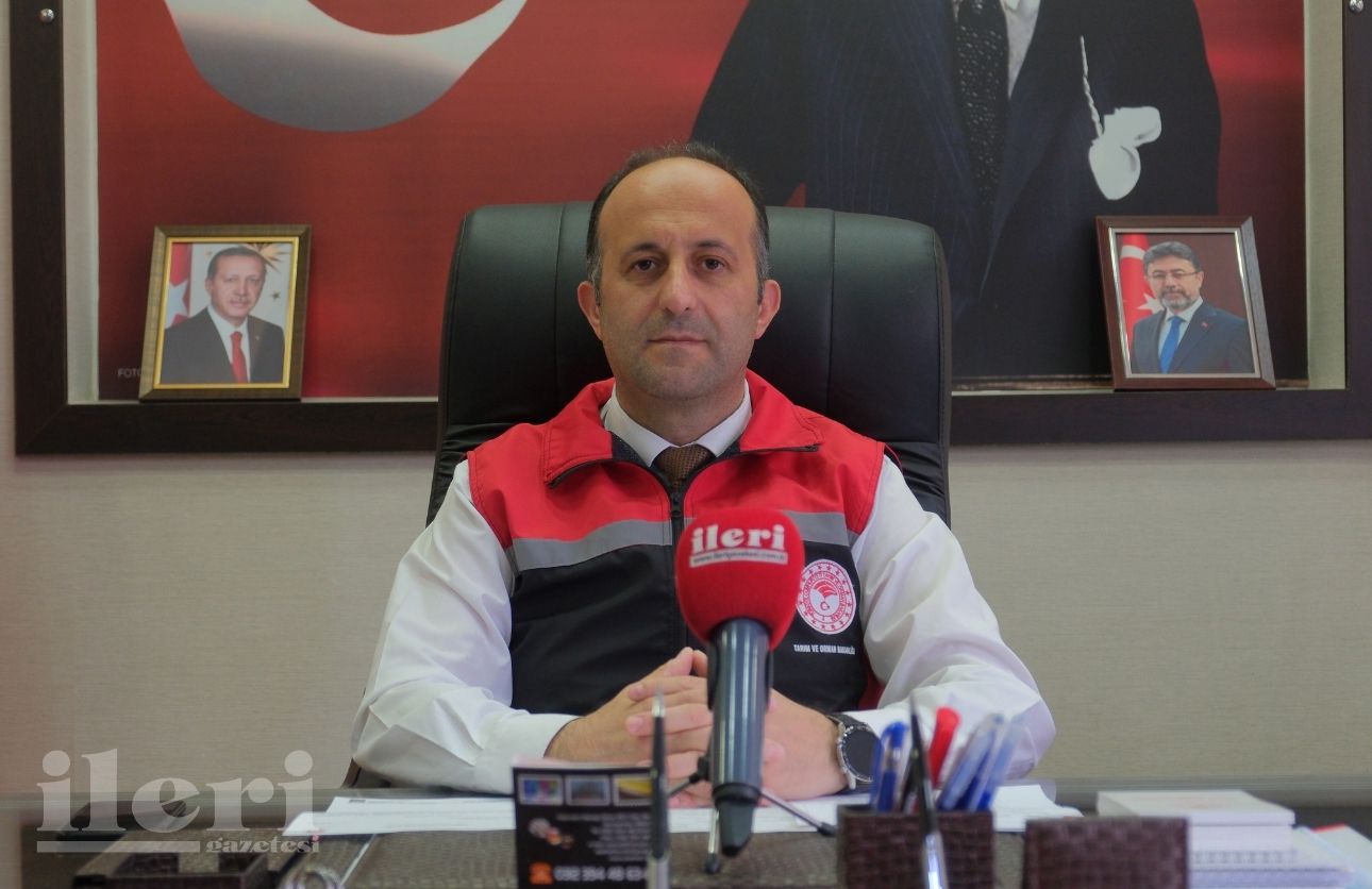Kurban Pazarı (2)