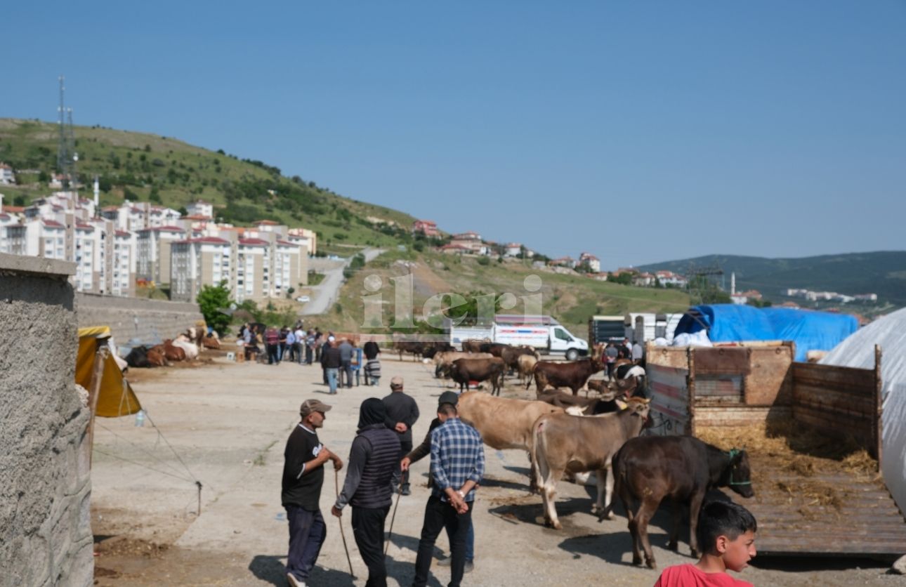 Kurban Pazarı (4)