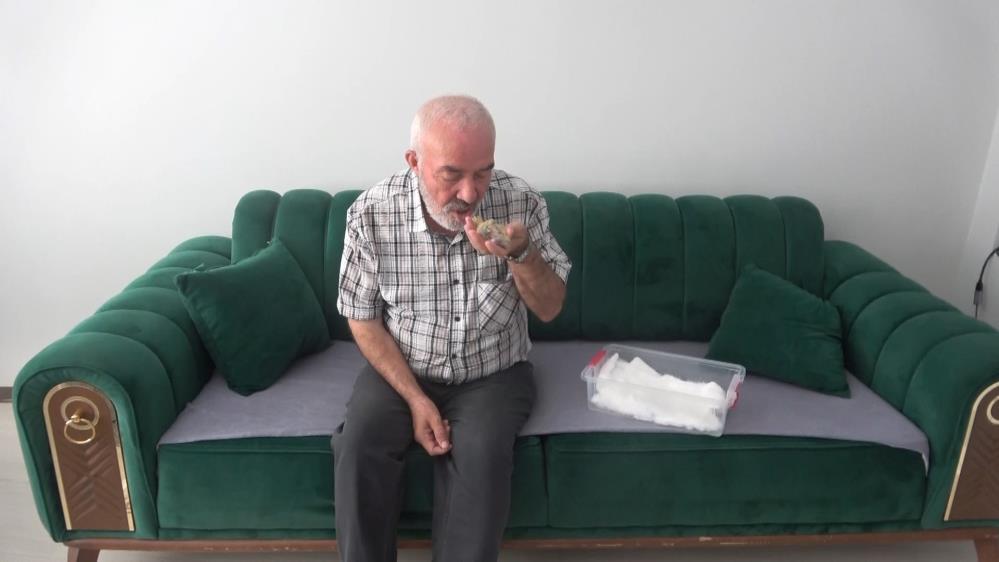 Bulduğu Kuşu Ağzıyla Besliyor1