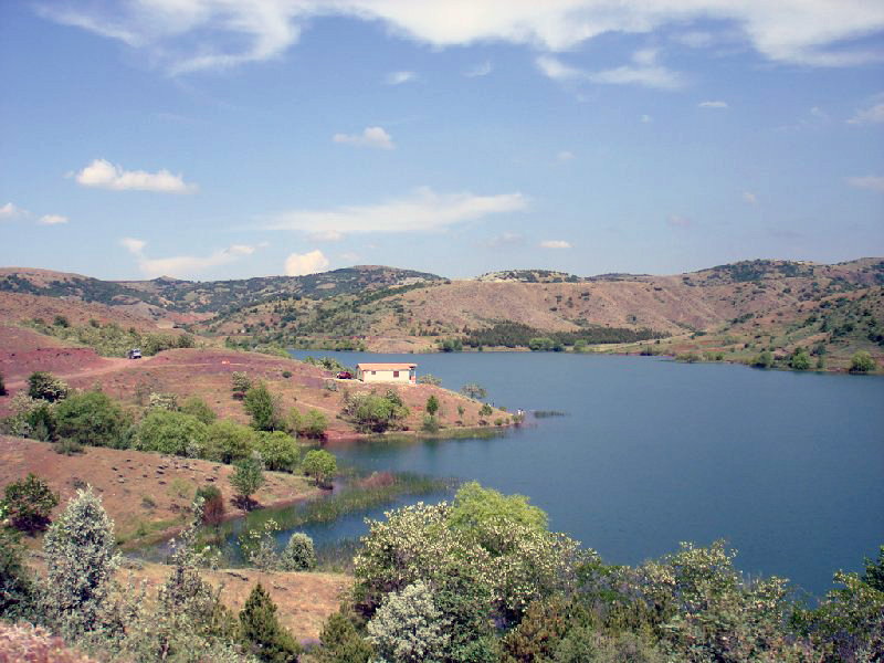 Şenlik Canlı Yayınlanacak (3)