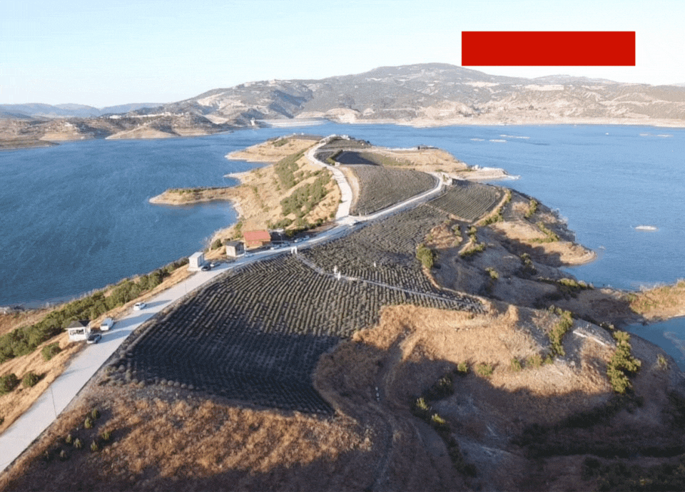 Yozgat’ın mor cennetine ziyaretçi akını