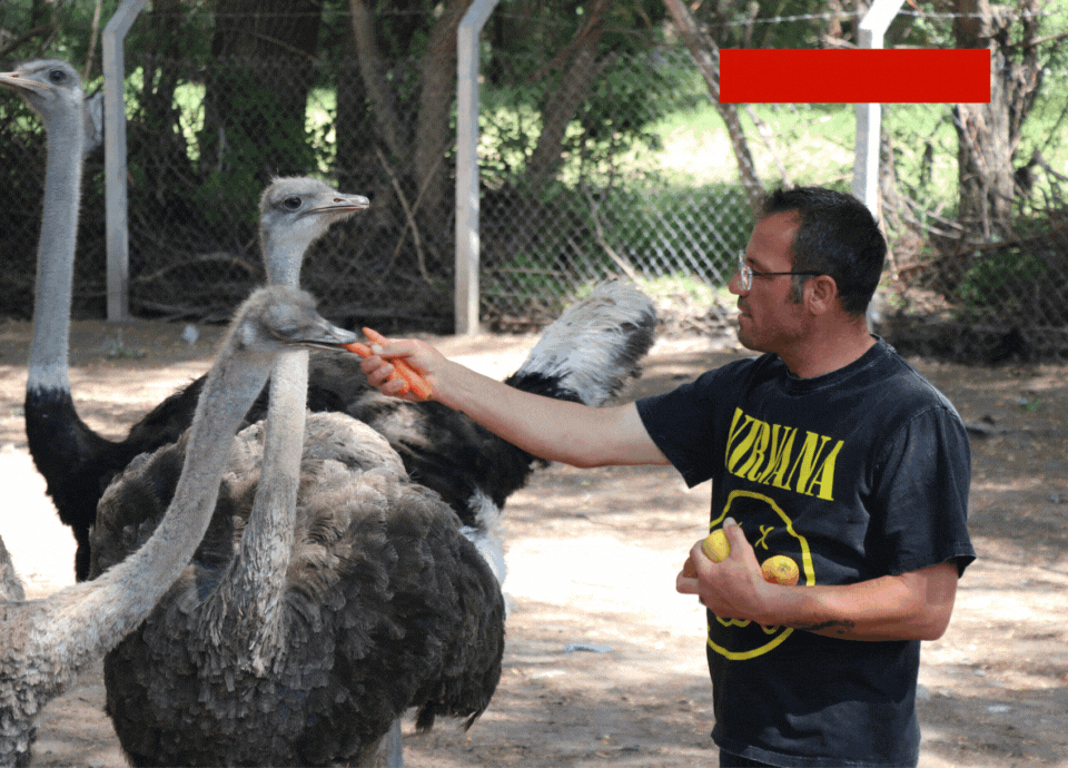 Yozgat'ta hayvan sevgisi çiftlik kurdurdu