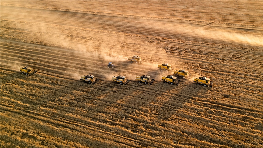 Tmo Alımları Başladı