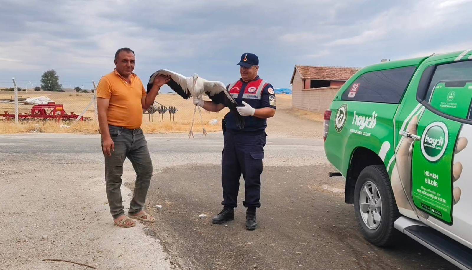 Yaralı Leylek Koruma Altında 2