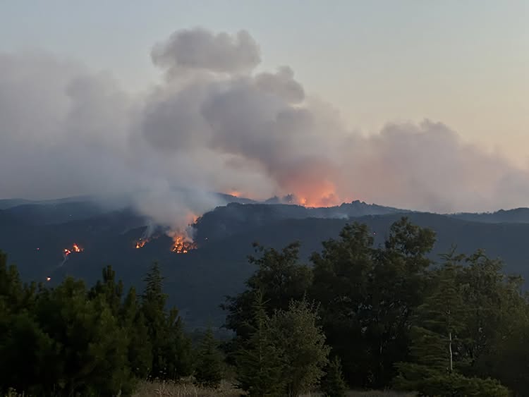 Önce Güvenlik, Sonra Hasat1
