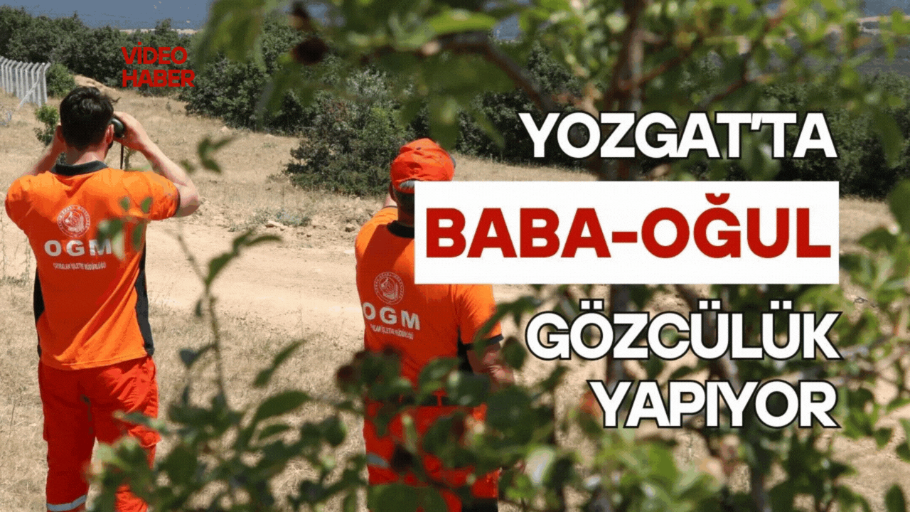 Yozgat'ta baba oğul gözcülük yapıyor