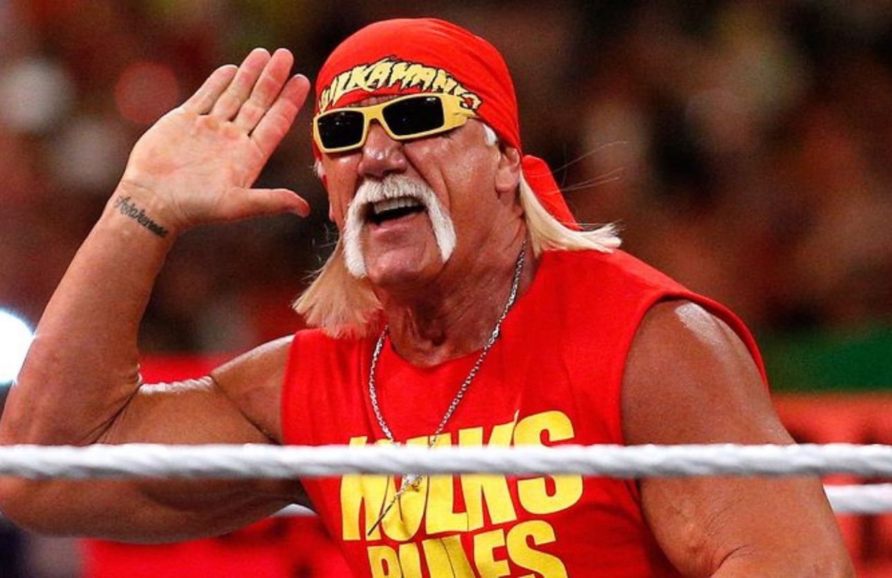 Hulk Hogan Kimdir (2)