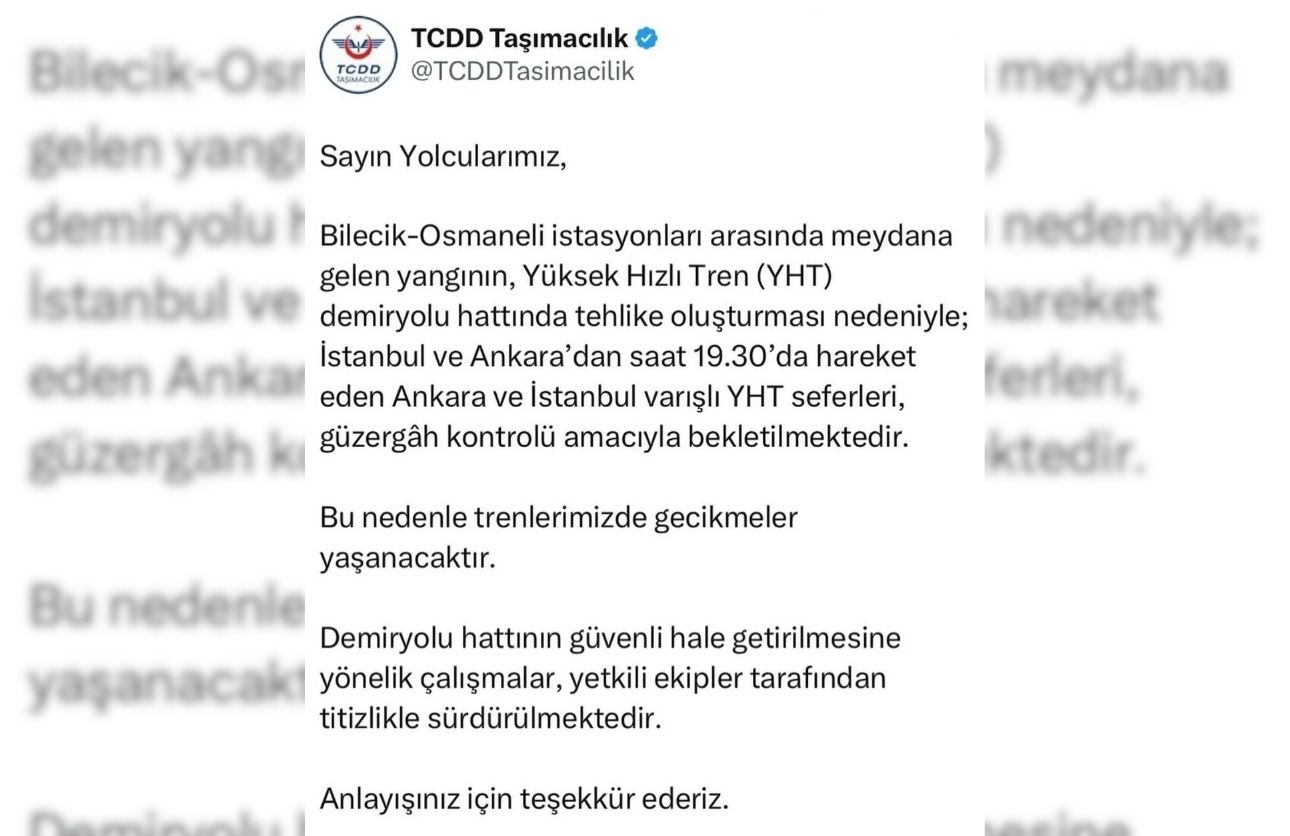 Yht Orman Yangini (2)