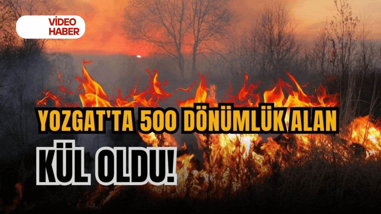 Yozgat'ta 500 dönümlük alan kül oldu!