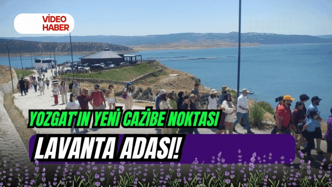 Yozgat’ın yeni cazibe noktası: Lavanta adası!