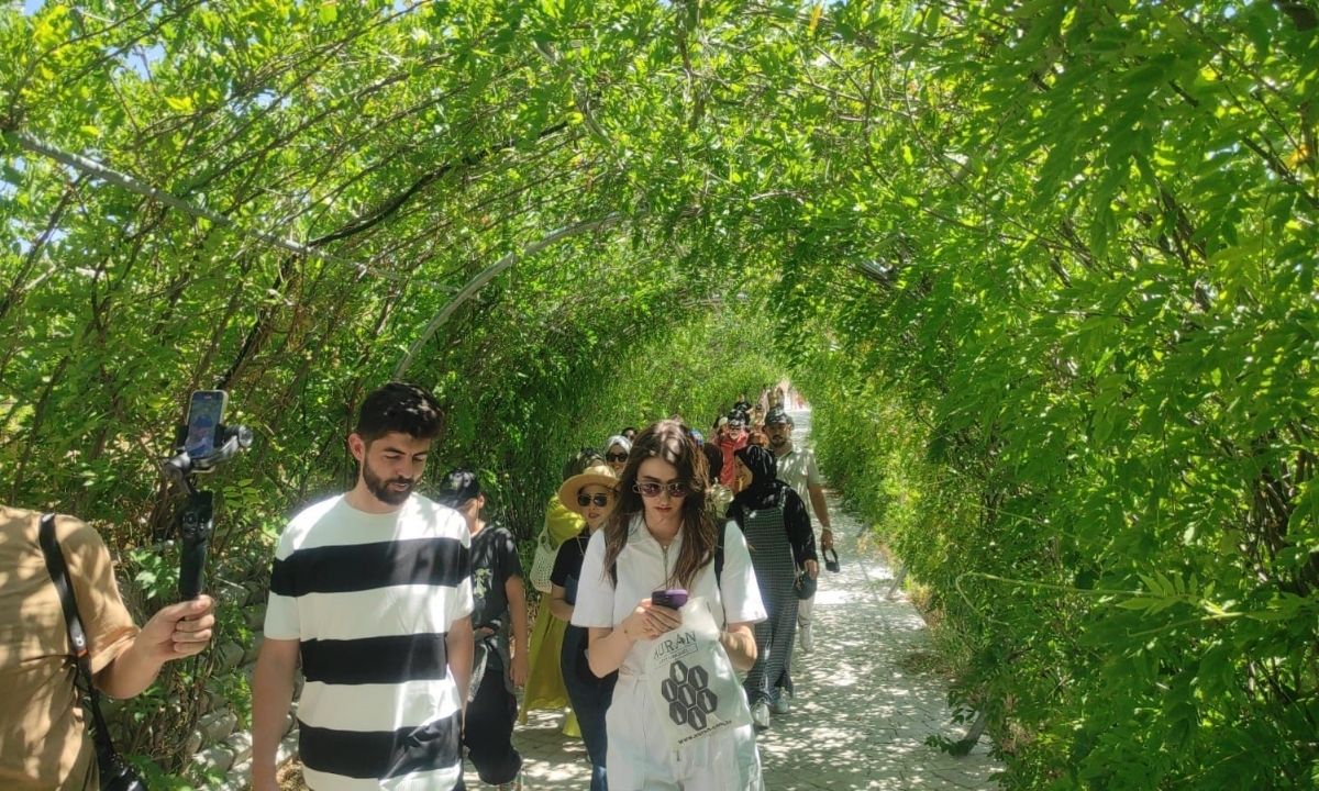 Lavanta Adası (4)
