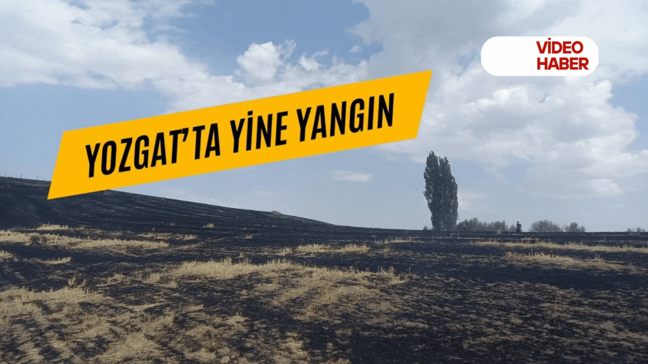 Yozgat’ta yine yangın!