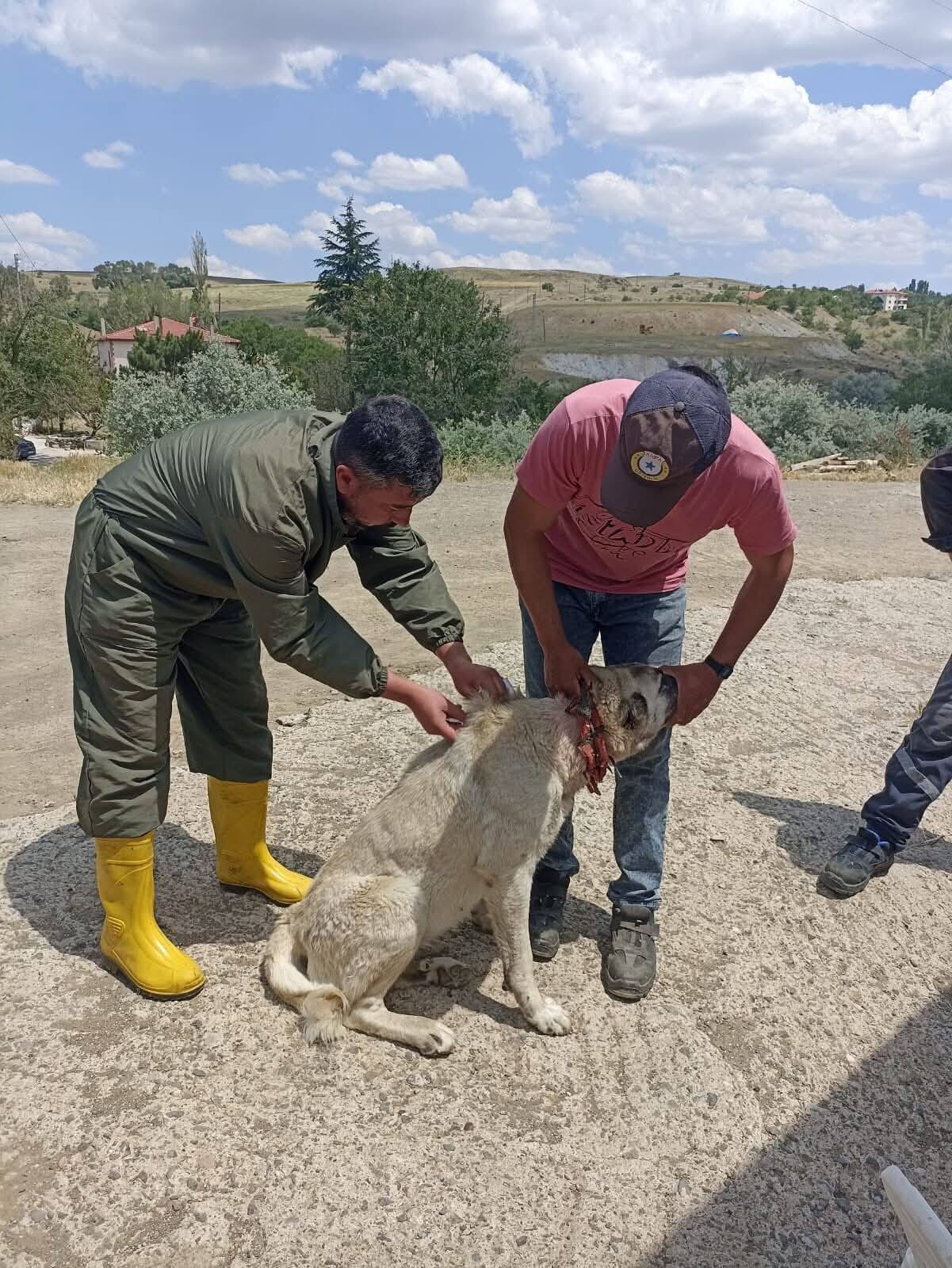 Kayıt Yaptırmayanlara Ceza! 2