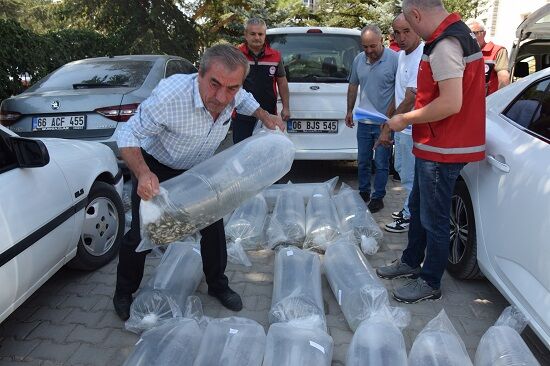 Tarım Ve Orman Bakanlığı 297 Bin Yavru Sazan Bıraktı! (3)