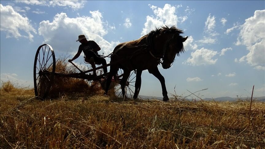 Biçerdöverler Yozgat’tan Gidiyor