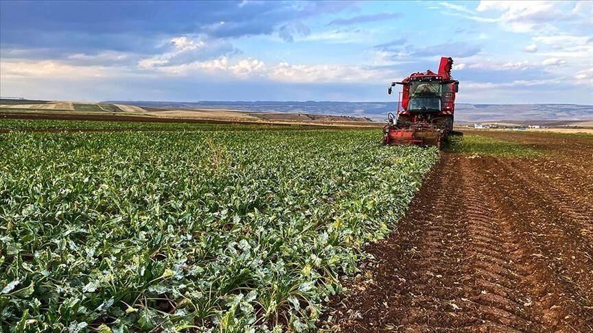 Yozgat Çiftçisi Perişan (2)