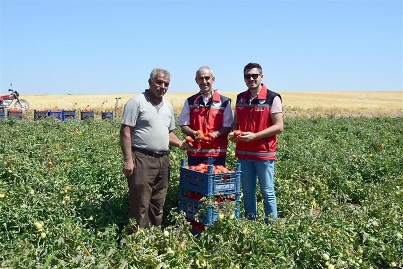 Yüzde 30 Verim Artışı Sağlandı