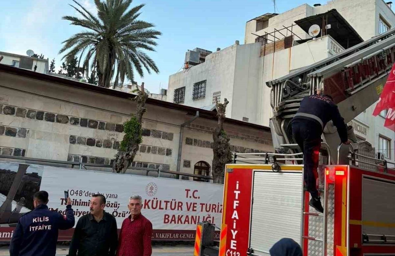 Ağaçta Mahsur Kalan Kedi (3)